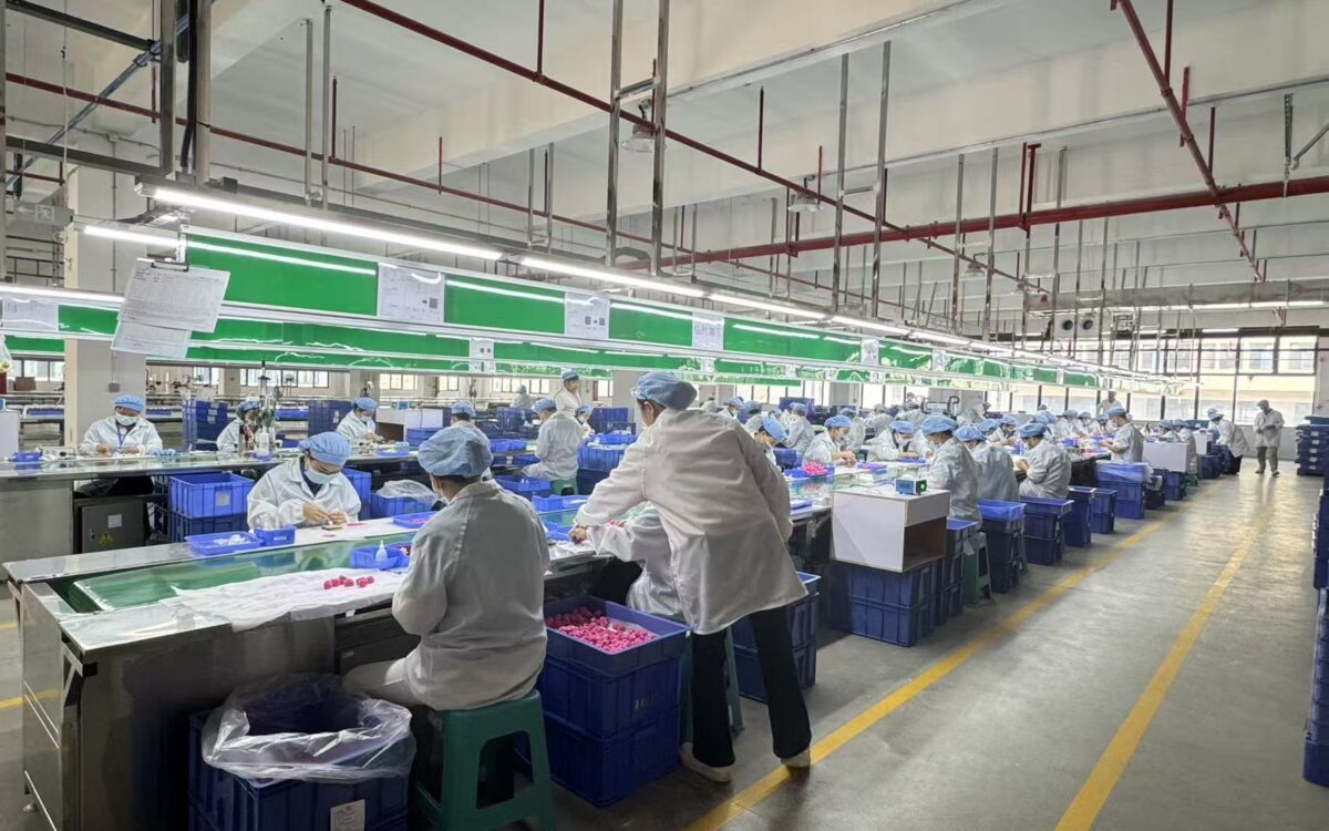 Organized toy assembly line with workers performing production and quality checks